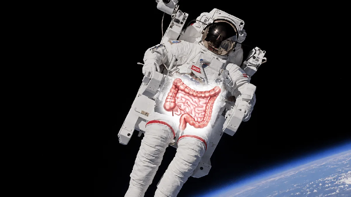 宇宙飛行士の血液が示した「便秘の謎」、腸内細菌がタンパク質を食べ始める