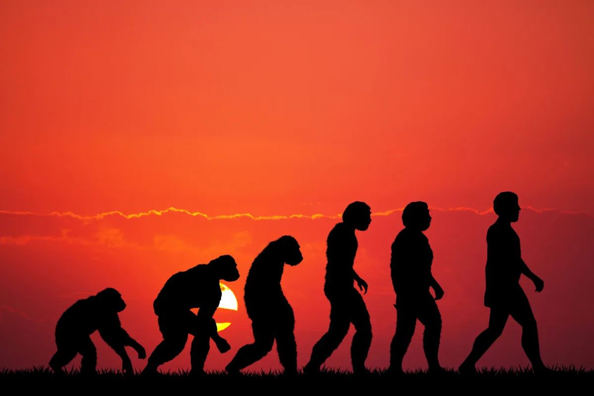 あなたの筋肉、実はネアンデルタール人由来かも？最新研究