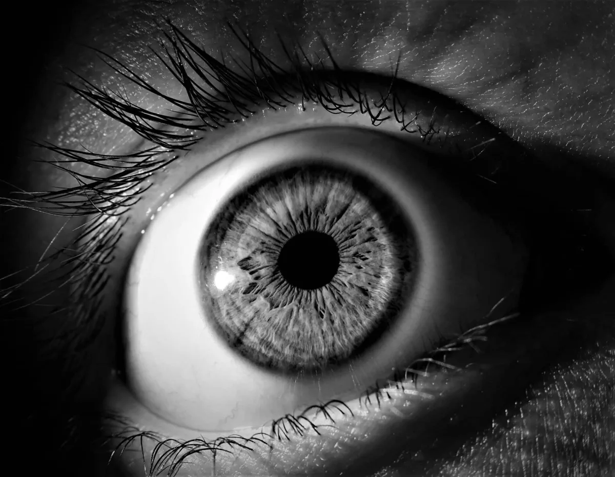 幽霊を見ると人生が好転する？5000人調査で判明した衝撃の事実